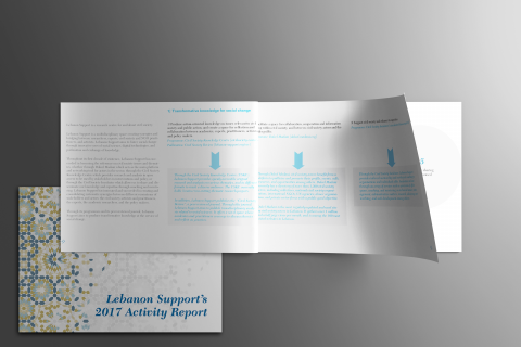 Lebanon Support's 2017 Activity Report