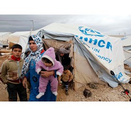 The Power-Interest Nexus in Responses to Syrian Refugee...