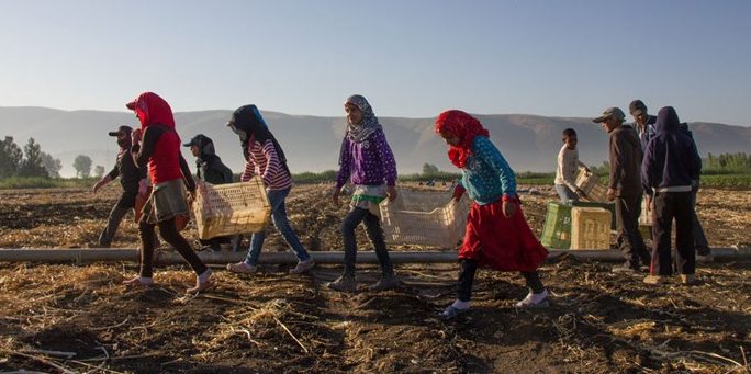 تقاطُع سياسات العمل واللجوء في...