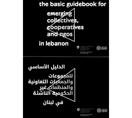 الدليل الأساسي للمجموعات والجمعيات التعاونية والمنظمات غير...