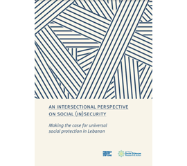 An intersectional perspective on social (in)security. ...