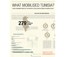 What Mobilised Tunisia? Socio-Economic Rights at The Heart...