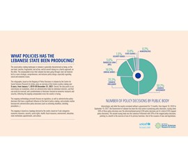 What policies has the Lebanese...