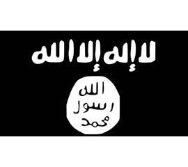 Islamic State (IS); Daech *