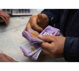 Poverty, Precarity, and Isolation: The Economic Situation...