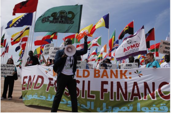 Position Paper on the World Bank...