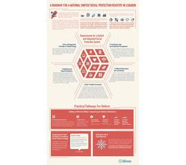 A Roadmap for a National Unified Social Protection Registry...