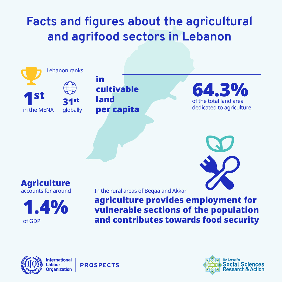 Facts and figures about the agricultural and agrifood sectors in Lebanon - Image 1
