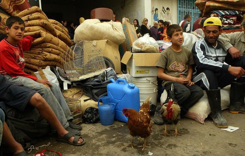 Nahr al-Bared crisis and local responses of aid: a focus on needs assessment during emergencies
