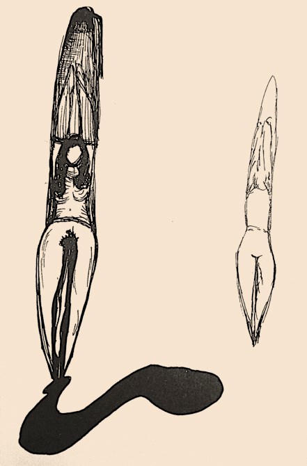 Are Sexual Dissidence and Gender Activism Necessarily Linked? Notes from the field on the body